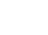 Wildberries